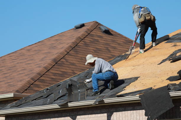 Best Roof Moss and Algae Removal  in St Petersburg, FL