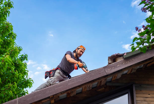 Best Gutter Installation and Repair  in St Petersburg, FL