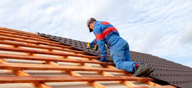 Best Metal Roofing Installation  in St Petersburg, FL
