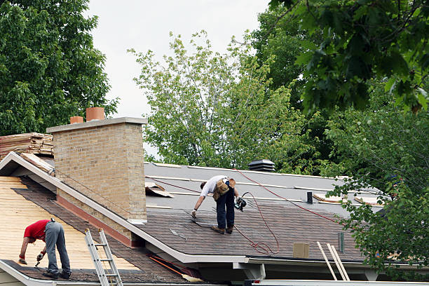 Sheet Metal Roofing in St Petersburg, FL