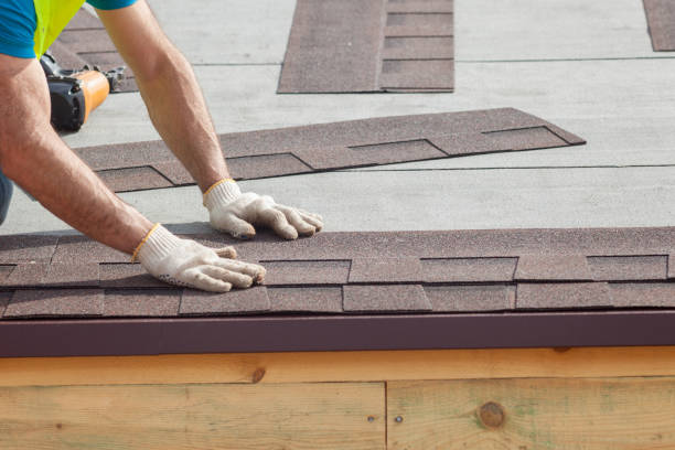 Best Gutter Installation and Repair  in St Petersburg, FL