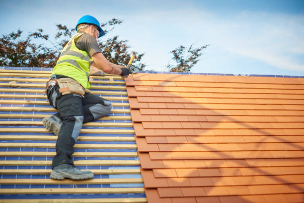 Best Rubber Roofing (EPDM, TPO)  in St Petersburg, FL
